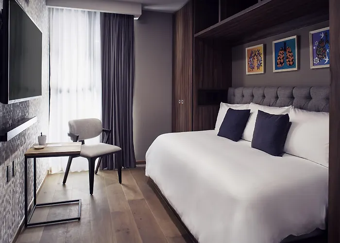 Frida Luxury By Viadora 4* México DF