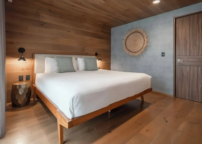 Frida Luxury By Viadora 4* 墨西哥城